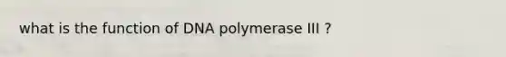 what is the function of DNA polymerase III ?