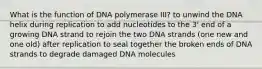 What is the function of DNA polymerase III? to unwind the DNA helix during replication to add nucleotides to the 3' end of a growing DNA strand to rejoin the two DNA strands (one new and one old) after replication to seal together the broken ends of DNA strands to degrade damaged DNA molecules