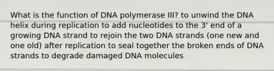 What is the function of DNA polymerase III? to unwind the DNA helix during replication to add nucleotides to the 3' end of a growing DNA strand to rejoin the two DNA strands (one new and one old) after replication to seal together the broken ends of DNA strands to degrade damaged DNA molecules