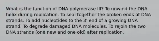 What is the function of DNA polymerase III? To unwind the DNA helix during replication. To seal together the broken ends of DNA strands. To add nucleotides to the 3' end of a growing DNA strand. To degrade damaged DNA molecules. To rejoin the two DNA strands (one new and one old) after replication.