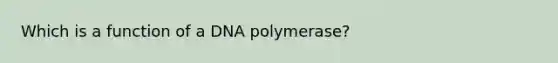 Which is a function of a DNA polymerase?