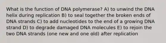 What is the function of DNA polymerase? A) to unwind the DNA helix during replication B) to seal together the broken ends of DNA strands C) to add nucleotides to the end of a growing DNA strand D) to degrade damaged DNA molecules E) to rejoin the two DNA strands (one new and one old) after replication