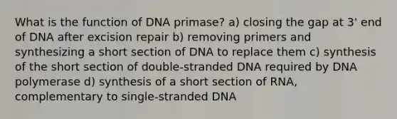 What is the function of DNA primase? a) closing the gap at 3' end of DNA after excision repair b) removing primers and synthesizing a short section of DNA to replace them c) synthesis of the short section of double-stranded DNA required by DNA polymerase d) synthesis of a short section of RNA, complementary to single-stranded DNA