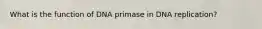 What is the function of DNA primase in DNA replication?