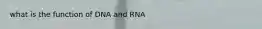 what is the function of DNA and RNA