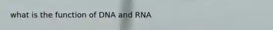 what is the function of DNA and RNA