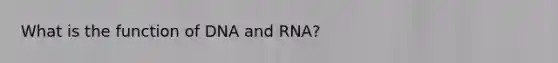 What is the function of DNA and RNA?