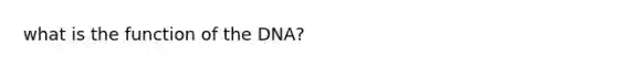 what is the function of the DNA?