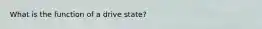 What is the function of a drive state?