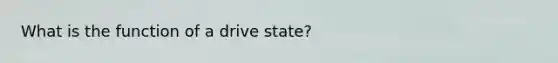 What is the function of a drive state?