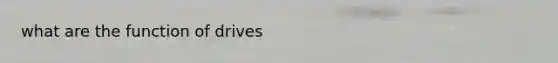 what are the function of drives