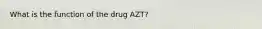 What is the function of the drug AZT?