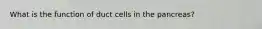 What is the function of duct cells in the pancreas?