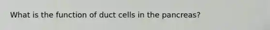 What is the function of duct cells in the pancreas?