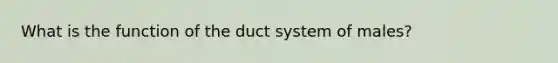 What is the function of the duct system of males?