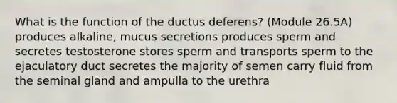 What is the function of the ductus deferens? (Module 26.5A) produces alkaline, mucus secretions produces sperm and secretes testosterone stores sperm and transports sperm to the ejaculatory duct secretes the majority of semen carry fluid from the seminal gland and ampulla to the urethra