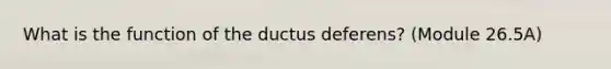 What is the function of the ductus deferens? (Module 26.5A)