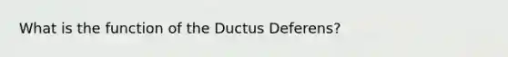 What is the function of the Ductus Deferens?