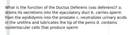 What is the function of the Ductus Deferens (vas deferens)? a. drains its secretions into the ejaculatory duct b. carries sperm from the epididymis into the prostate c. neutralizes urinary acids in the urethra and lubricates the tip of the penis d. contains sustentacular cells that produce sperm