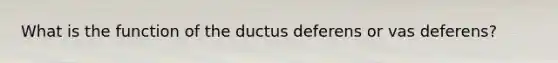 What is the function of the ductus deferens or vas deferens?