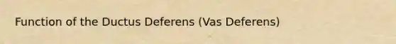 Function of the Ductus Deferens (Vas Deferens)
