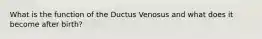 What is the function of the Ductus Venosus and what does it become after birth?