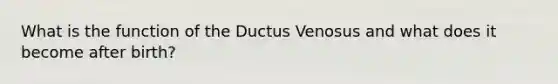 What is the function of the Ductus Venosus and what does it become after birth?