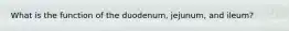 What is the function of the duodenum, jejunum, and ileum?