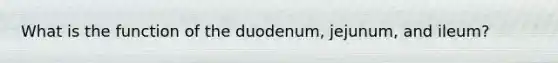 What is the function of the duodenum, jejunum, and ileum?