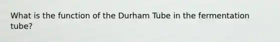 What is the function of the Durham Tube in the fermentation tube?