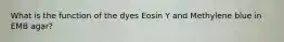 What is the function of the dyes Eosin Y and Methylene blue in EMB agar?