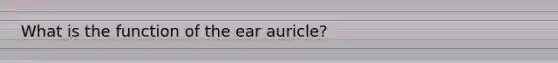 What is the function of the ear auricle?