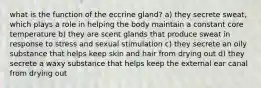 what is the function of the eccrine gland? a) they secrete sweat, which plays a role in helping the body maintain a constant core temperature b) they are scent glands that produce sweat in response to stress and sexual stimulation c) they secrete an oily substance that helps keep skin and hair from drying out d) they secrete a waxy substance that helps keep the external ear canal from drying out