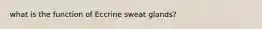 what is the function of Eccrine sweat glands?