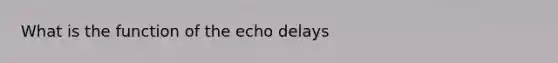 What is the function of the echo delays