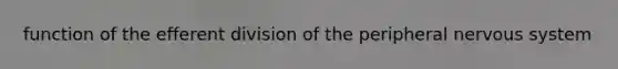 function of the efferent division of the peripheral nervous system