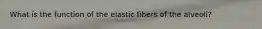 What is the function of the elastic fibers of the alveoli?