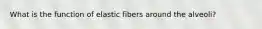 What is the function of elastic fibers around the alveoli?