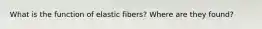 What is the function of elastic fibers? Where are they found?