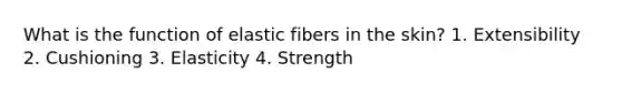 What is the function of elastic fibers in the skin? 1. Extensibility 2. Cushioning 3. Elasticity 4. Strength