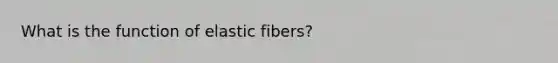 What is the function of elastic fibers?