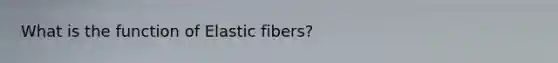 What is the function of Elastic fibers?