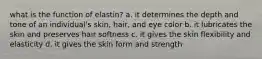 what is the function of elastin? a. it determines the depth and tone of an individual's skin, hair, and eye color b. it lubricates the skin and preserves hair softness c. it gives the skin flexibility and elasticity d. it gives the skin form and strength