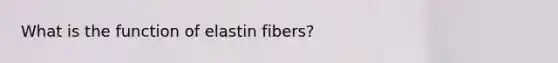 What is the function of elastin fibers?