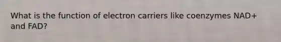 What is the function of electron carriers like coenzymes NAD+ and FAD?