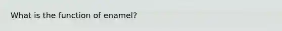 What is the function of enamel?