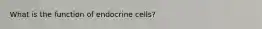 What is the function of endocrine cells?