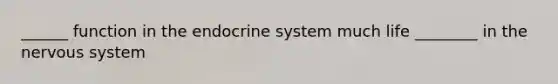 ______ function in the endocrine system much life ________ in the nervous system