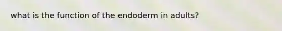 what is the function of the endoderm in adults?