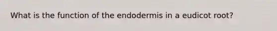 What is the function of the endodermis in a eudicot root?